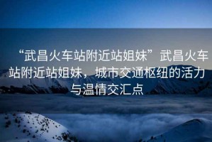 “武昌火車站附近站姐妹”武昌火車站附近站姐妹，城市交通樞紐的活力與溫情交匯點