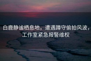 白鹿靜謐棲息地，遭遇蹲守偷拍風波，工作室緊急報警維權