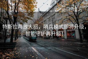 特斯拉再放大招，哨兵模式即將升級(jí)，智能守護(hù)再升級(jí)！