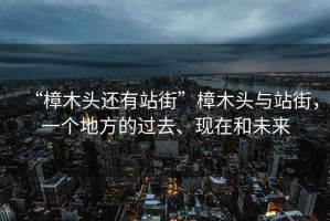 “樟木頭還有站街”樟木頭與站街，一個地方的過去、現在和未來