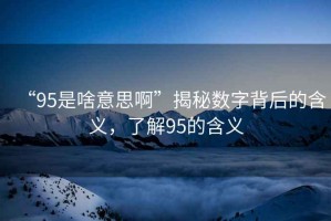 “95是啥意思啊”揭秘數字背后的含義，了解95的含義