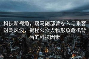 科技新視角，落馬副部曾卷入與乘客對罵風(fēng)波，揭秘公眾人物形象危機背后的科技因素