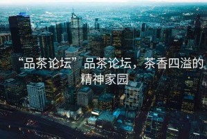 “品茶論壇”品茶論壇，茶香四溢的精神家園