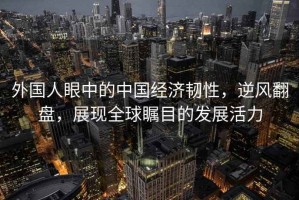 外國人眼中的中國經濟韌性，逆風翻盤，展現全球矚目的發展活力