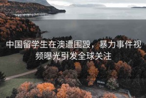 中國留學(xué)生在澳遭圍毆，暴力事件視頻曝光引發(fā)全球關(guān)注
