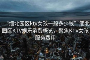 “緬北園區ktv女孩一般多少錢”緬北園區KTV娛樂消費概覽，聚焦KTV女孩服務費用