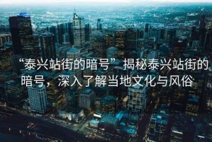 “泰興站街的暗號”揭秘泰興站街的暗號，深入了解當地文化與風俗