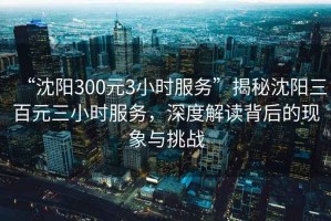 “沈陽300元3小時服務”揭秘沈陽三百元三小時服務，深度解讀背后的現象與挑戰