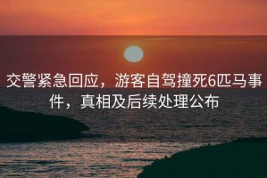 交警緊急回應，游客自駕撞死6匹馬事件，真相及后續處理公布