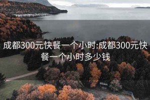 成都300元快餐一個小時:成都300元快餐一個小時多少錢
