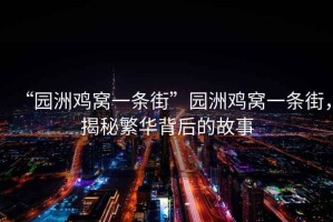 “園洲雞窩一條街”園洲雞窩一條街，揭秘繁華背后的故事