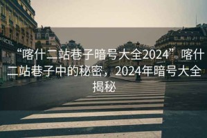 “喀什二站巷子暗號大全2024”喀什二站巷子中的秘密，2024年暗號大全揭秘
