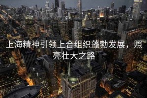 上海精神引領上合組織蓬勃發展，照亮壯大之路
