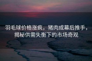 羽毛球價格漲瘋，豬肉成幕后推手，揭秘供需失衡下的市場奇觀