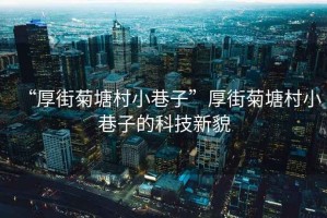 “厚街菊塘村小巷子”厚街菊塘村小巷子的科技新貌