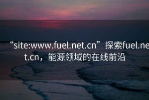 “site:www.fuel.net.cn”探索fuel.net.cn，能源領域的在線前沿