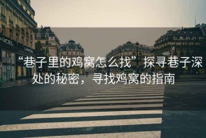 “巷子里的雞窩怎么找”探尋巷子深處的秘密，尋找雞窩的指南