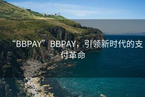 “BBPAY”BBPAY，引領新時代的支付革命