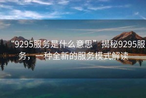 “9295服務是什么意思”揭秘9295服務，一種全新的服務模式解讀