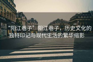 “陽(yáng)江巷子”陽(yáng)江巷子，歷史文化的獨(dú)特印記與現(xiàn)代生活的繁華縮影