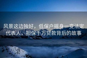 風(fēng)景這邊獨(dú)好，低保戶搖身一變法定代表人，擔(dān)保千萬(wàn)貸款背后的故事