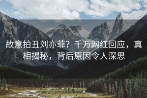 故意拍丑劉亦菲？千萬網紅回應，真相揭秘，背后原因令人深思