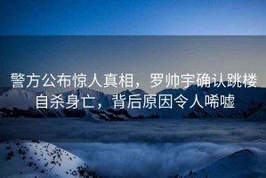 警方公布驚人真相，羅帥宇確認跳樓自殺身亡，背后原因令人唏噓