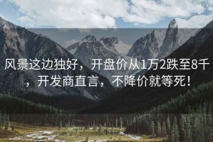 風(fēng)景這邊獨好，開盤價從1萬2跌至8千，開發(fā)商直言，不降價就等死！