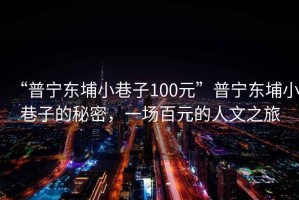 “普寧東埔小巷子100元”普寧東埔小巷子的秘密，一場百元的人文之旅