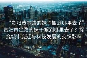 “貴陽黃金路的妹子搬到哪里去了”貴陽黃金路的妹子搬到哪里去了？探究城市變遷與科技發展的交織影響
