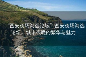 “西安夜場海選論壇”西安夜場海選論壇，城市夜晚的繁華與魅力