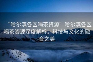 “哈爾濱各區喝茶資源”哈爾濱各區喝茶資源深度解析，科技與文化的融合之美