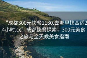 “成都300元快餐1130.去哪里找合適24小時.cc”成都快餐探索，300元美食之旅與全天候美食指南