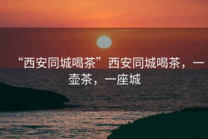 “西安同城喝茶”西安同城喝茶，一壺茶，一座城