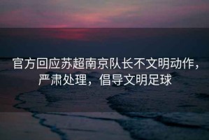 官方回應蘇超南京隊長不文明動作，嚴肅處理，倡導文明足球
