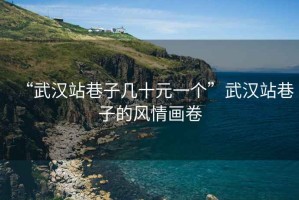 “武漢站巷子幾十元一個”武漢站巷子的風情畫卷