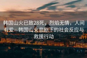 韓國山火已致28死，烈焰無情，人間有愛—韓國山火悲劇下的社會反應與救援行動