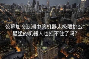 公募加倉浪潮中的機器人極限挑戰，最猛的機器人也扛不住了嗎？