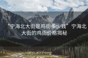 “寧海北大街是雞街多少錢”寧海北大街的雞街價(jià)格揭秘