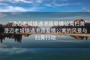“澄邁老城鎮通港路愛情公寓掃黃”澄邁老城鎮通港路愛情公寓的風景與掃黃行動
