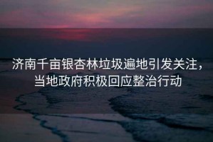 濟南千畝銀杏林垃圾遍地引發關注，當地政府積極回應整治行動