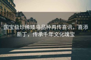 國寶級珍稀矮馬品種再傳喜訊，喜添新丁，傳承千年文化瑰寶