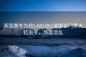 英國黃牛為搶LABUBU演唱會門票大打出手，場面混亂