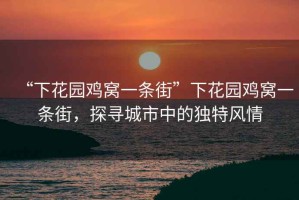 “下花園雞窩一條街”下花園雞窩一條街，探尋城市中的獨特風情