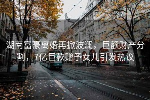 湖南富豪離婚再掀波瀾，巨額財產分割，7億巨款贈予女兒引發熱議