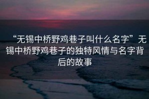 “無錫中橋野雞巷子叫什么名字”無錫中橋野雞巷子的獨特風情與名字背后的故事