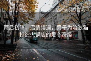 雨后初晴，溫情貓遇，男子為流浪貓打造火鍋店的愛心奇緣