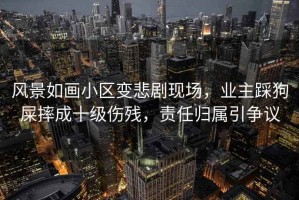 風景如畫小區變悲劇現場，業主踩狗屎摔成十級傷殘，責任歸屬引爭議