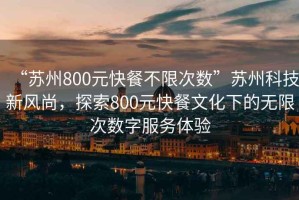 “蘇州800元快餐不限次數”蘇州科技新風尚，探索800元快餐文化下的無限次數字服務體驗