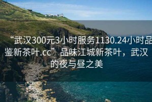 “武漢300元3小時服務1130.24小時品鑒新茶葉.cc”品味江城新茶葉，武漢的夜與晝之美